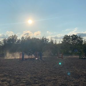 Meet your Posher, Diane